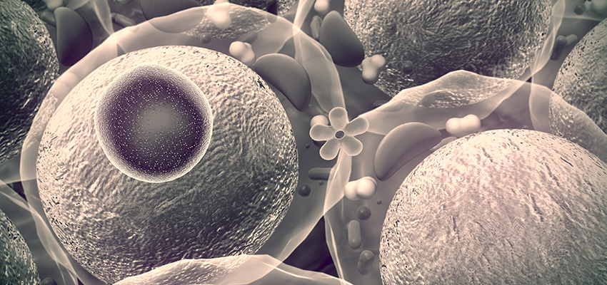 Cover image for article: What Questions Should Be Asked When a Medication Error Occurs?