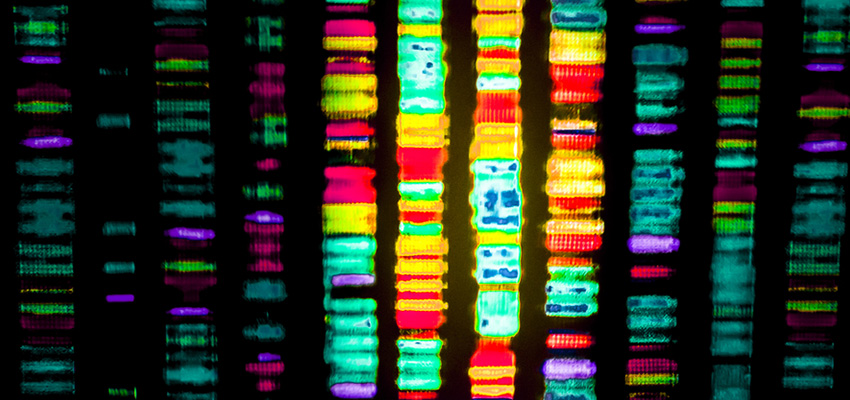 Cover image for article: What is Epigenetics?