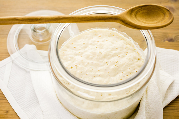 Sourdough starter culture.