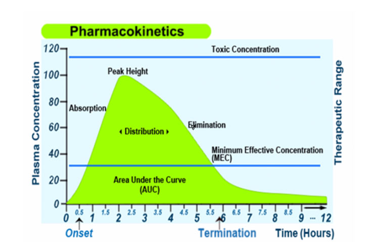 Wykres - Pharmacokinetics and Pharmacodynamics - Pharmacokinetics and Pharmacodynamics - Pharmacokinetics and Pharmacodynamics. Leki i organizm