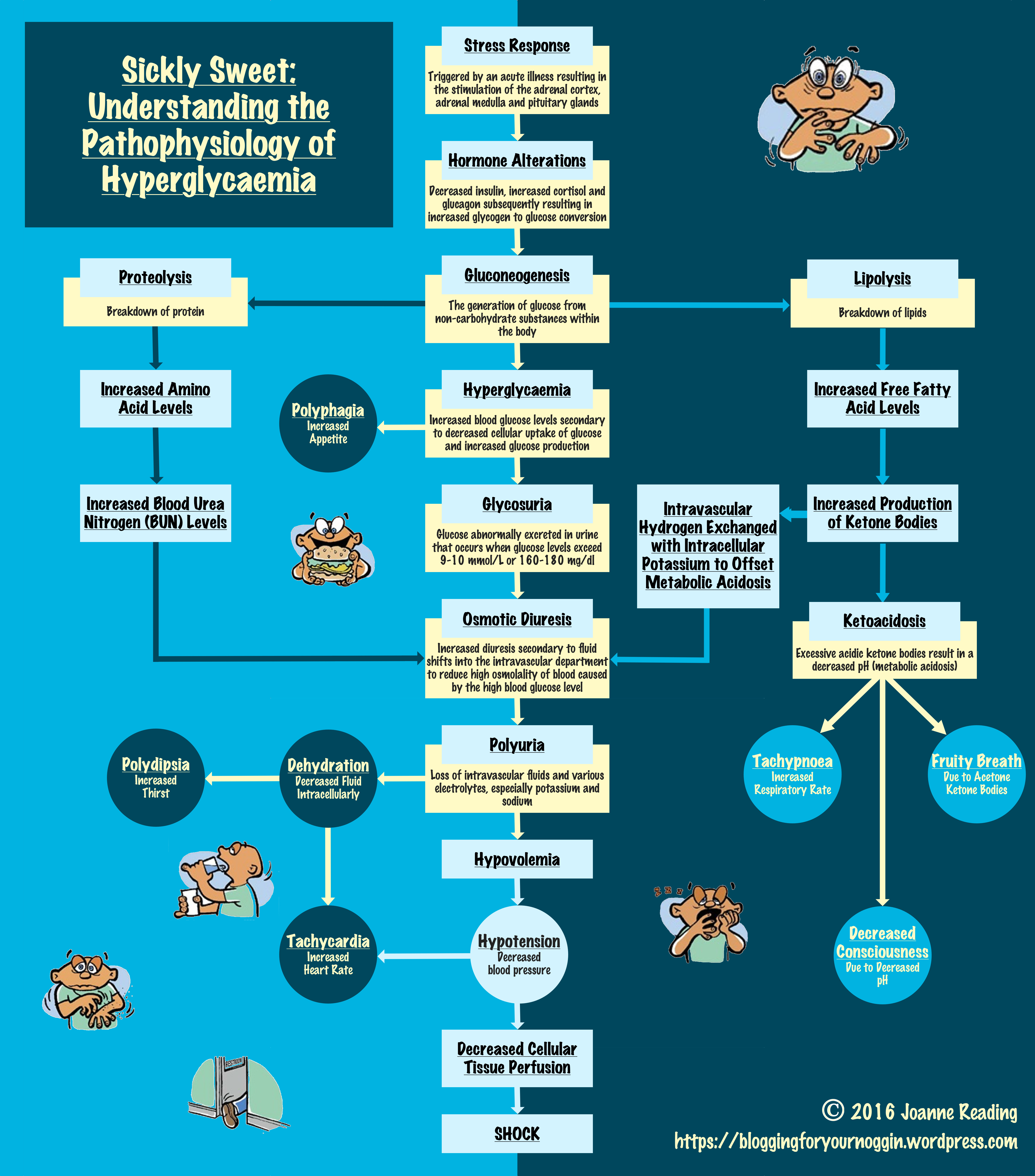 Type 1 Diabetes Pathophysiology Flow Chart