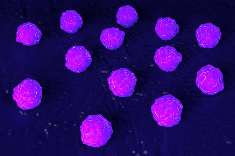 understanding stem cells