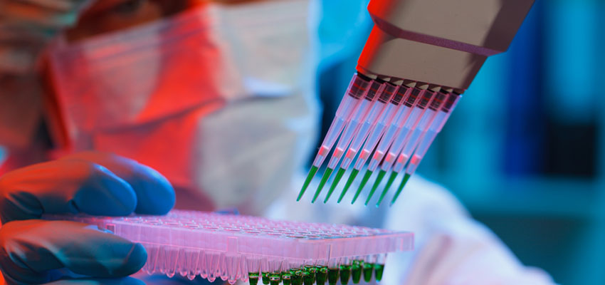 Cover image for article: A Beginner’s Guide to Understanding Stem Cells