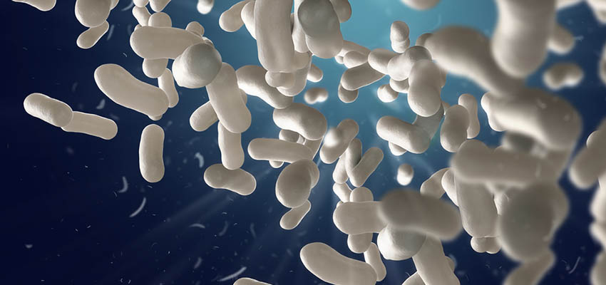 Cover image for article: How do Viruses and Bacteria Cause Disease?