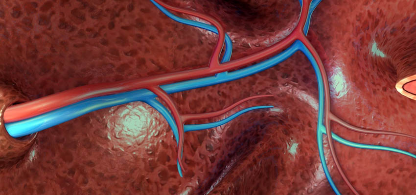 Cover image for article: Interpreting ABGs: Simple and Easy