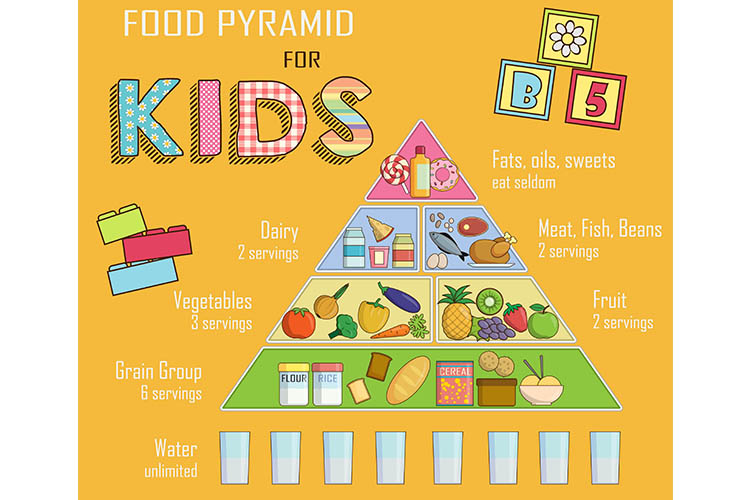 The Effects Of Nutrition On Children s