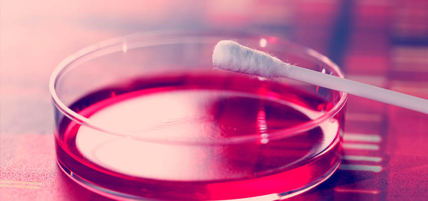 Cover image for article: Genetic Testing in the Hands of the Consumer – The Genomics Revolution