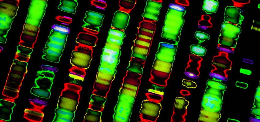 Cover image for article: The Age of Personalised Medicine – The Genomics Revolution