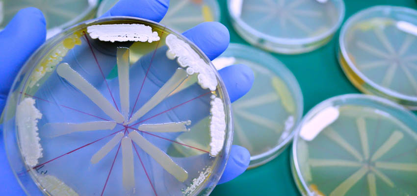 Cover image for article: What Can Nurses Do to Combat Antimicrobial Resistance?