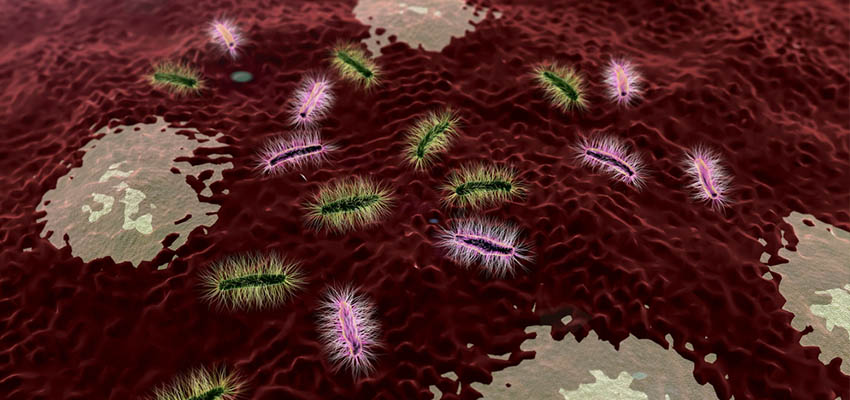 Cover image for article: What Factors Create and Sustain a Healthy Microbiome? – 10 Considerations (Part 2)