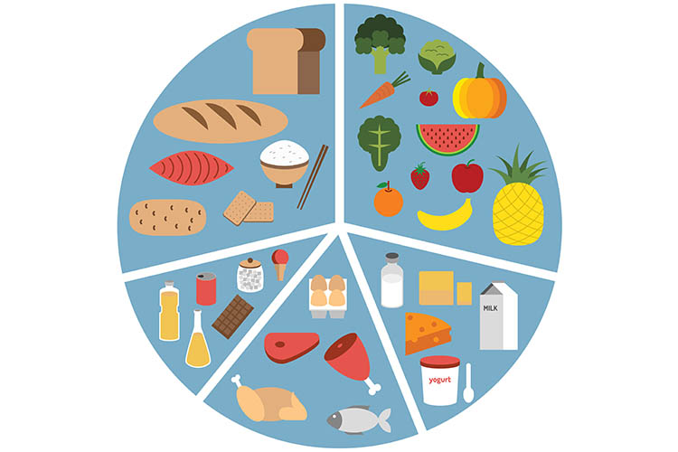 Ausmed's Wound Care and Wound Healing Guide for Nurses The five food groups for a balanced diet.