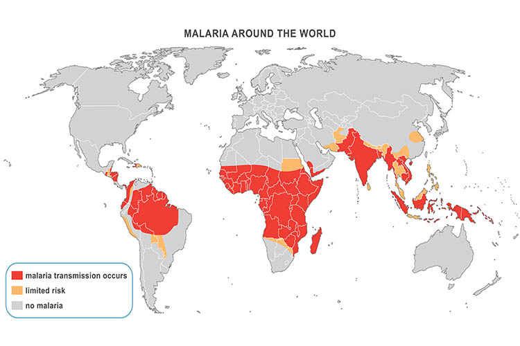 Malaria World Map