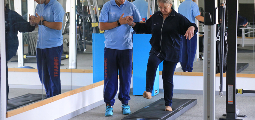 Cover image for article: Cancer Rehabilitation in a Multidisciplinary Team