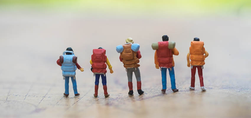 Cover image for article: Your Wild and Precious Nursing Career: What Will You Do With It?