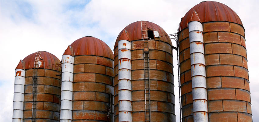 Cover image for article: Nursing is a Sentinel, Not a Silo – Busting the Myth