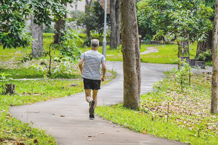physical activity to reduce dementia risk