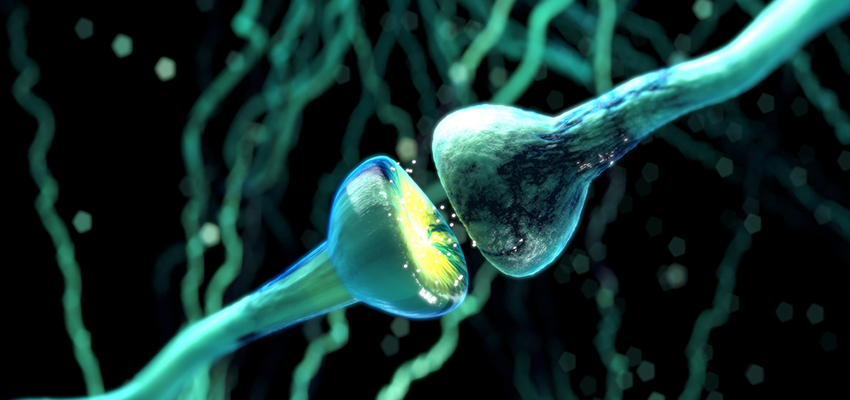 Cover image for article: How Can we Prevent the Risk of Dementia?