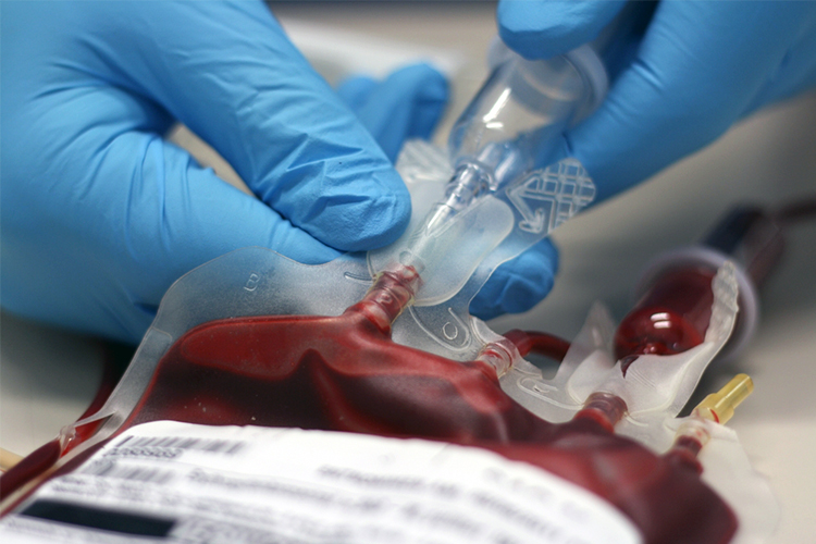 blood transfusion reactions