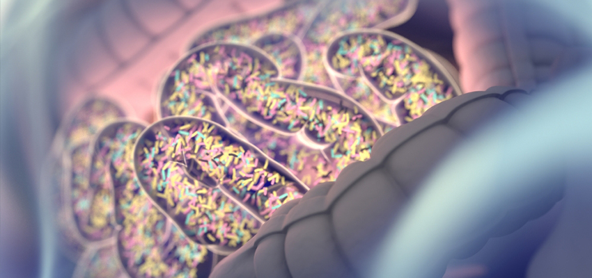 Cover image for article: Gut Microbiota Health and Wellbeing