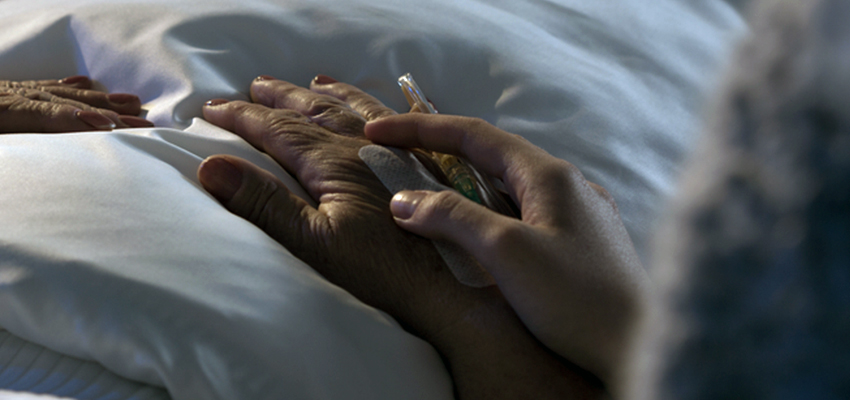 Cover image for article: How do Palliative Care Nurses Define their Roles When a Family Member is Terminally Ill?