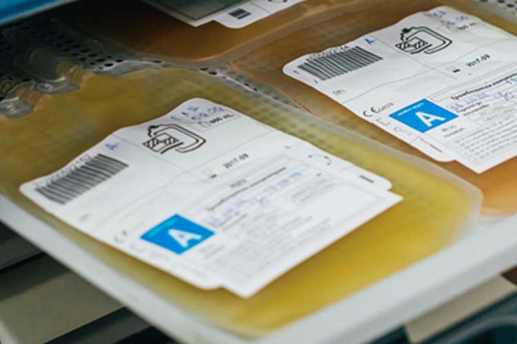 Plasma bags for A blood type on a shelf