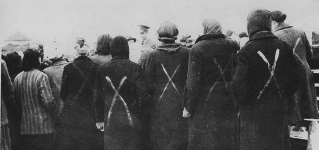 Cover image for article: In the Name of Science? – World War Two Experimentation and Torture